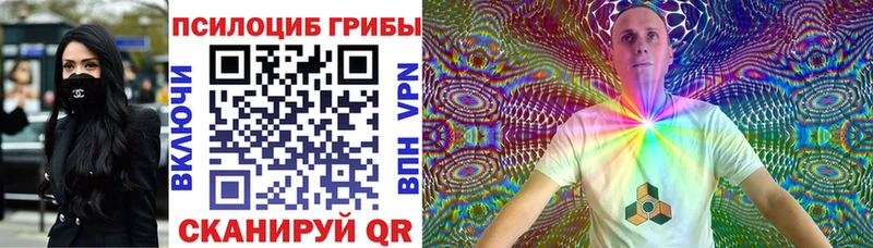 закладка  Новотитаровская  Псилоцибиновые грибы Psilocybine cubensis 